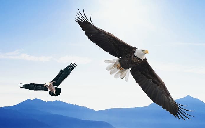 株暴落！激動・グレートリセットに備える